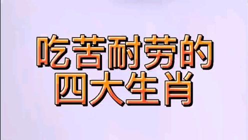 吃苦耐劳的四大生肖,看看有你吗 吃得苦中苦,方为人上人