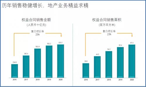 青岛港2023年上半年度报告：业务量和经营业绩呈现亮眼表现