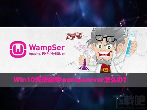 win10安装wamp教程