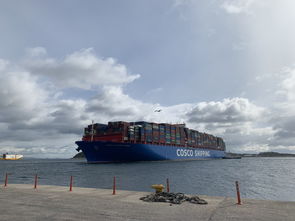 全球最大集装箱航运公司暂停在红海航行