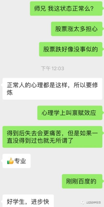 偏股混合型基金