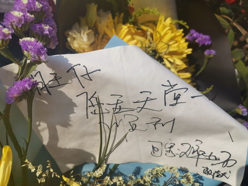 消防英雄俞旺牺牲后追记一等功 清明节父母寄哀思
