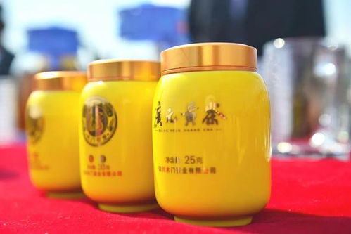 中国 旺苍第十届米仓山采茶节暨广元黄茶采摘劳动竞赛活动开幕