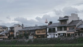 伏见稻荷大神千鸟居1