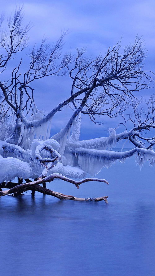 冬季雪景手机壁纸 搞吗二七