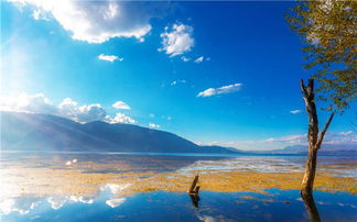 明年想去云南旅游，大理、丽江、香格里拉、西双版纳、泸沽湖~~请问行程怎么安排更合适？