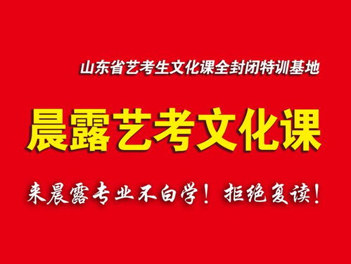 济南晨露 莱芜艺术生文化课培训 高考文化课复习指南