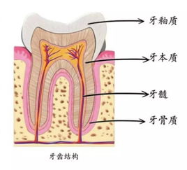 少数民族科普 想要一口好牙,怎么办 维吾尔文科普