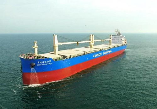 大连中远海运重工 云命名 62000吨多用途纸浆船
