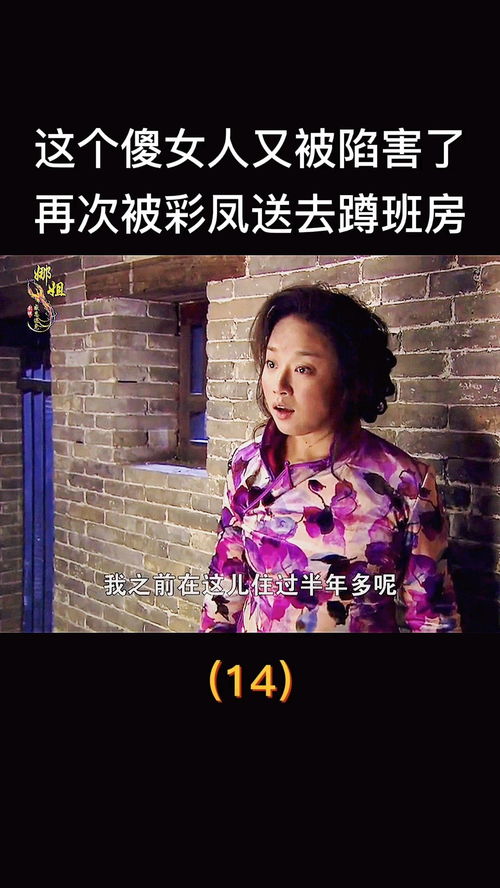 这个傻女人又一次被骗,送去蹲班房了 