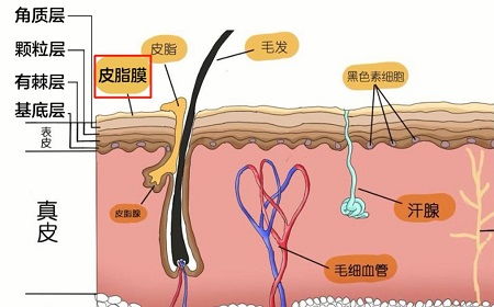 敏感肌使用护肤品刺痛了该怎么办 应该停用产品吗