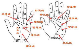 古相法精髓 观人妙诀警言集萃 精华篇