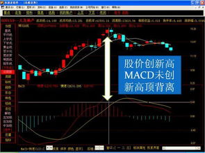 股票怎样在网上交易？