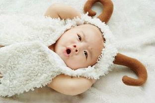 正月出生的羊宝宝性格