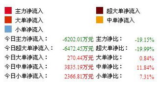 国电电力有超大单流出是什么意思