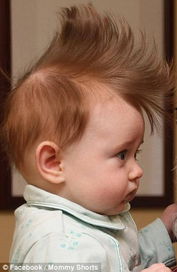 实在霸气 英摄影师打造宝宝狂野发型秀 图 