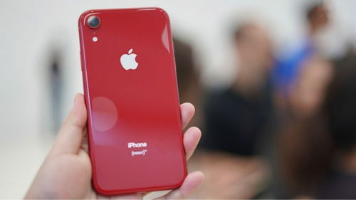 iPhone XR 终极选购指南 6 大亮点全总结,这样买才最划算