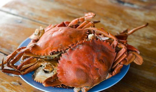 螃蟹吃多了会头晕 吃螃蟹需要注意哪些事情 你或许还不了解