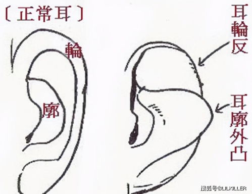 射手座,一个眼高手低,最有 赌徒心理 的复杂星座