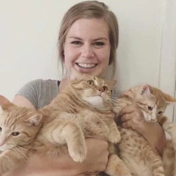 主人想要和家里的3只猫一起拍个合照,猫们的这反应笑屎了...