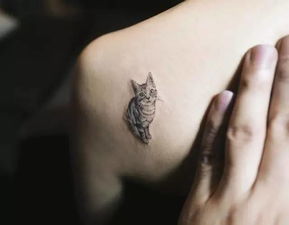 猫猫狗狗tattoo