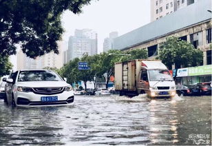 车子被水淹没,为何很多车主选择把车停留在原地