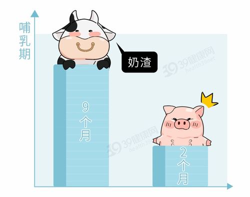 有人喝牛奶 喝羊奶,为什么没人喝猪奶 冷知识又增加了