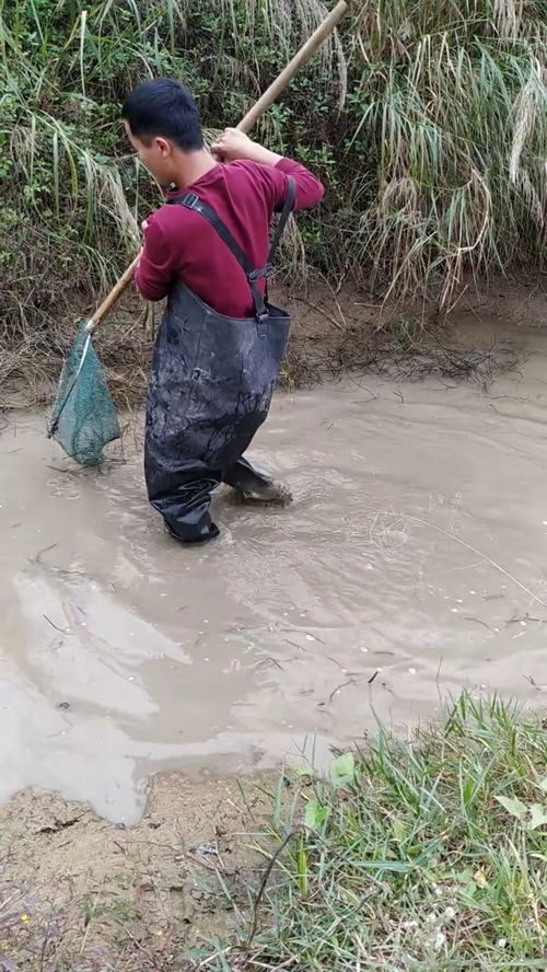 泥坑走路艰难的 