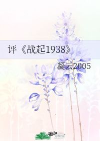 评 战起1938 凝云2005 第1章 23 16 46 