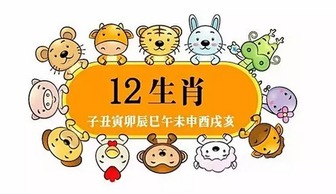 2017年12生肖整体大运势