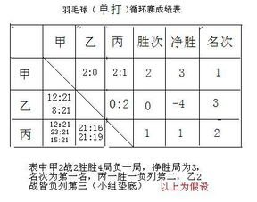 你怎样看待羽毛球比赛 (羽毛球比赛*的相持分数)