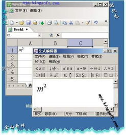 如何在WPS表格中输入平方和立方符号 