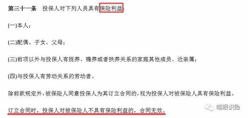 保险法全文被保险人的权益被保险人有什么权利和义务