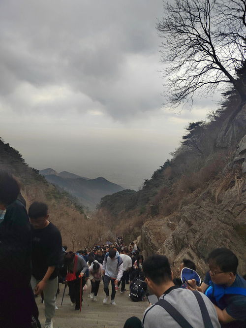 旅游风光分享 北京一日游 