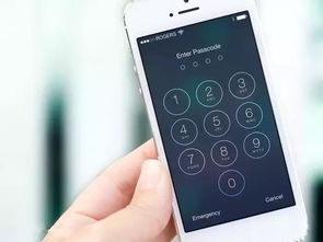 苹果手机忘记开机密码怎么办 一招解决
