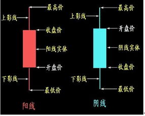 谁能教我玩股票啊？