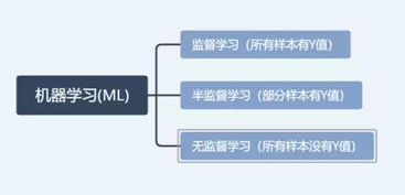 长文分享 AI算法工程师炼成之路