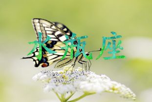 什么是12星座的欲望源泉 