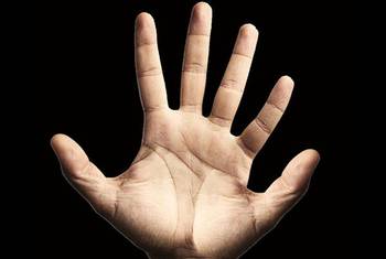 如果人类有六根手指 影响最大的是数学