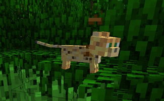 寻找资源的好帮手 我的世界豹猫驯服技巧