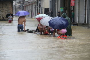 安化小淹镇洪水肆虐,看党员干部如何战洪魔 组图 