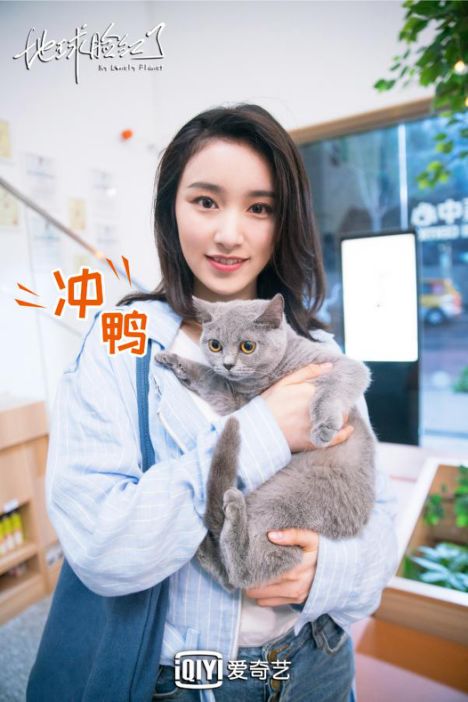 猫系男和犬系女的爱情故事到底有多甜