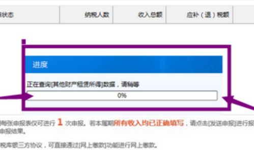 v2.05版地税申报软件怎么查看以前月份申报数据