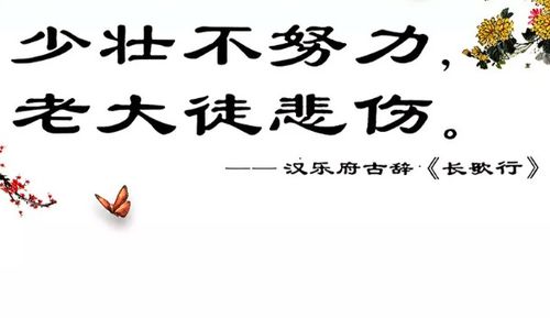 表示珍惜時間,勤奮學(xué)習(xí)的名言警句或諺語  第2張