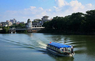 南京旅游需要导游吗(导游不带团免门票)