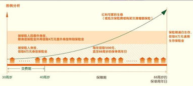 平安吉星盈瑞买了有什么用