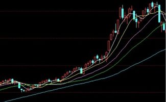 金融市场的弹性是指市场参与者类型的复杂程度。判断题