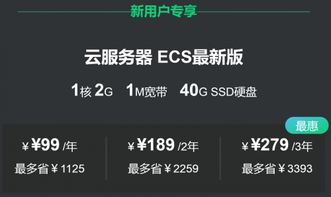 云服务器ecs1云服务器ecs怎么用