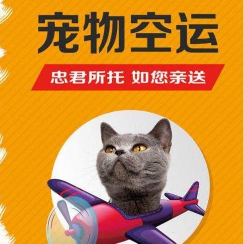 湖南到全国火车宠物托运价格,猫咪托运价格 头条咨询