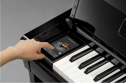 为什么不建议买电钢琴(电钢琴有必要买贵的吗)